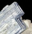 Vibrant Blue Kyanite Crystal In Quartz - Brazil #56934-1